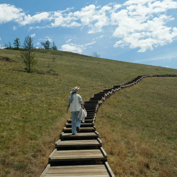 A man ascends a wooden staircase leading up a hill, surrounded by greenery.