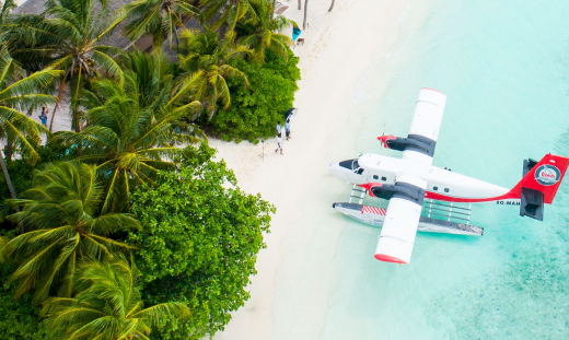 A small plane parked on a sandy beach surrounded by lush palm trees under a clear blue sky.